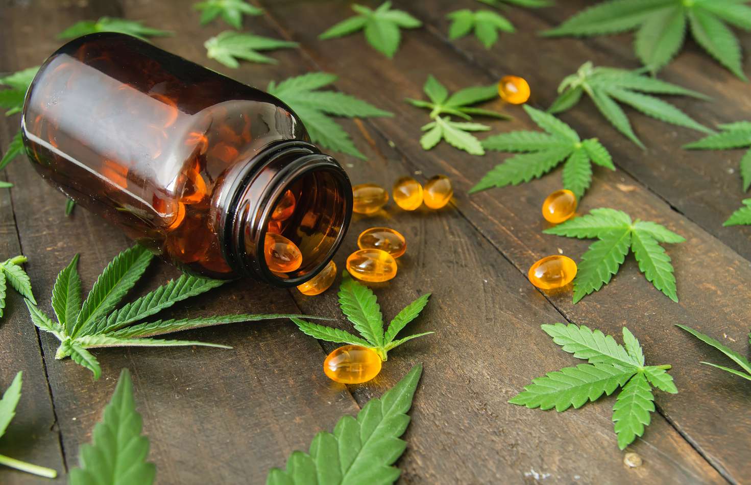 Die Anwendung von Cannabisöl bei Heuschnupfen und anderen Allergien ist zwar empfehlenswert, doch genau Angaben zu einer möglichen Dosierung gibt es bislang nicht. ( Foto: Adobe Stock -  Azahara MarcosDeLeon ) 