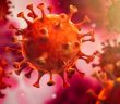 Die Evolution des Corona-Virus: Fragen und Antworten (Foto: AdobeStock - peterschreiber.media _318040586)