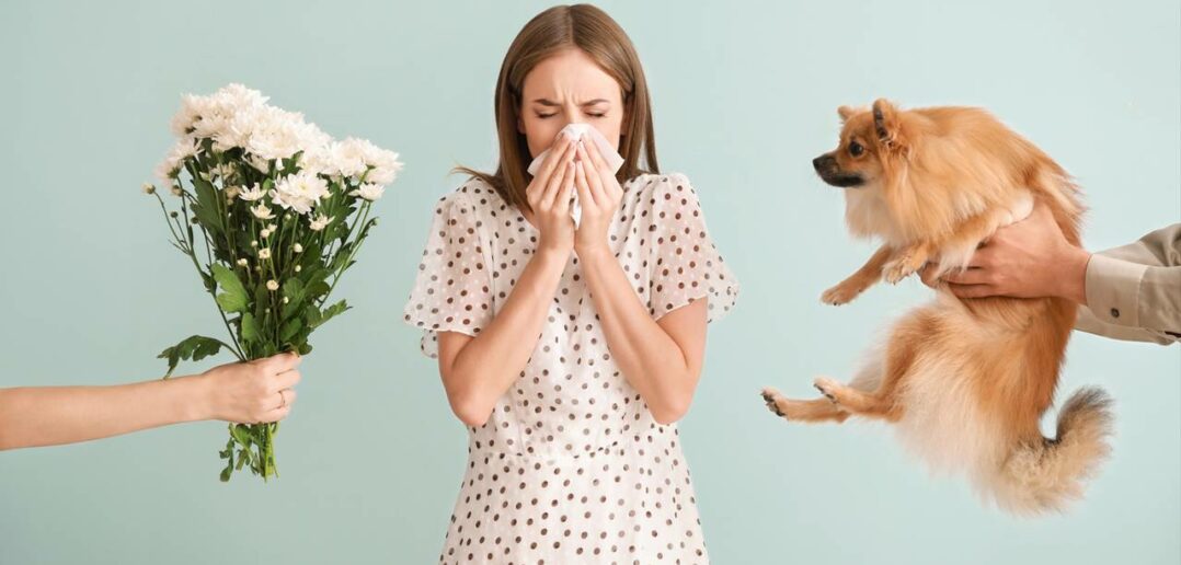 Allergierisiken im Wohnumfeld - daran erkennt man sie! (Foto: AdobeStock - 300511792 Pixel-Shot)